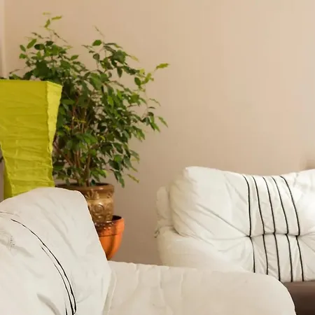 Chic Villa Cluj-Napoca